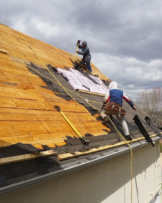 ProsTouch Roofing Picture 3