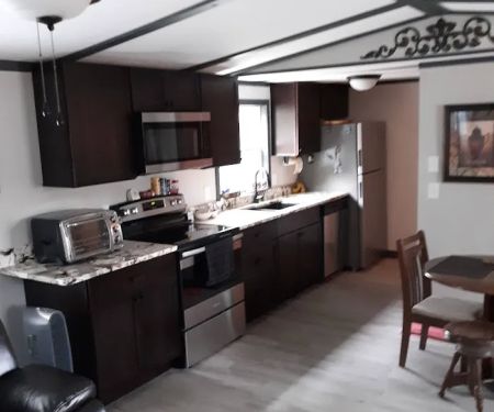 Lanier Construction LLC