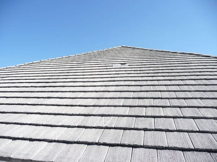 Leslie's Roofing Picture 1