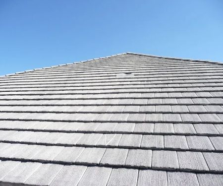 Leslie's Roofing