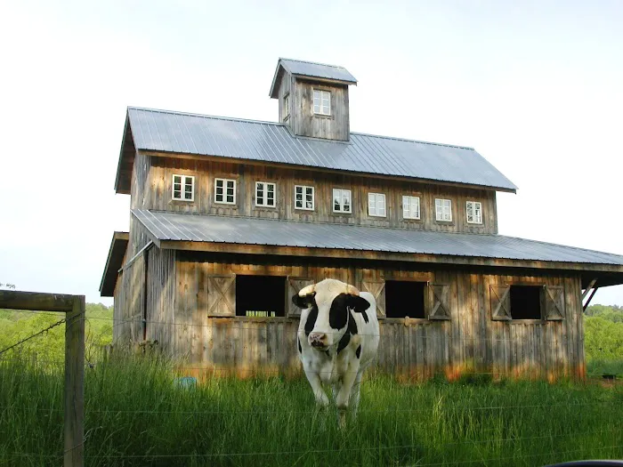 Leslie's Roofing Picture 8