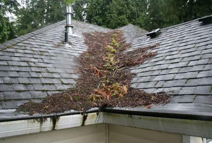 Investment Roofing Picture 4