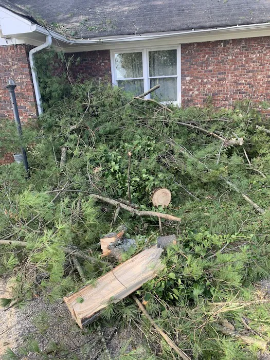 ASAP Roofing and Construction,LLC Picture 5