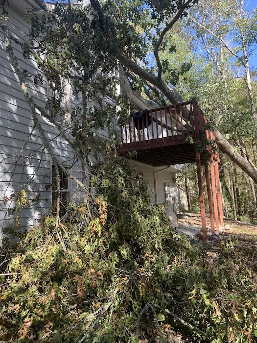 ASAP Roofing and Construction,LLC Picture 6