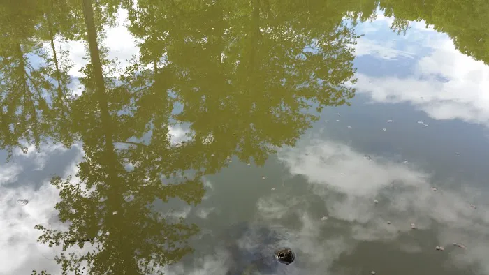 GMC Roofing Picture 1