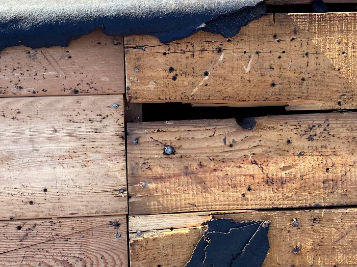 Capital Roofing, LLC Picture 7