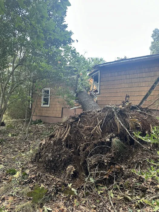 Denali Roofing and Restorations Picture 9