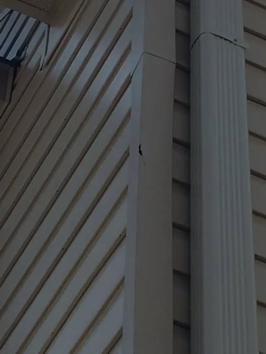 Drake Exteriors, LLC Picture 2