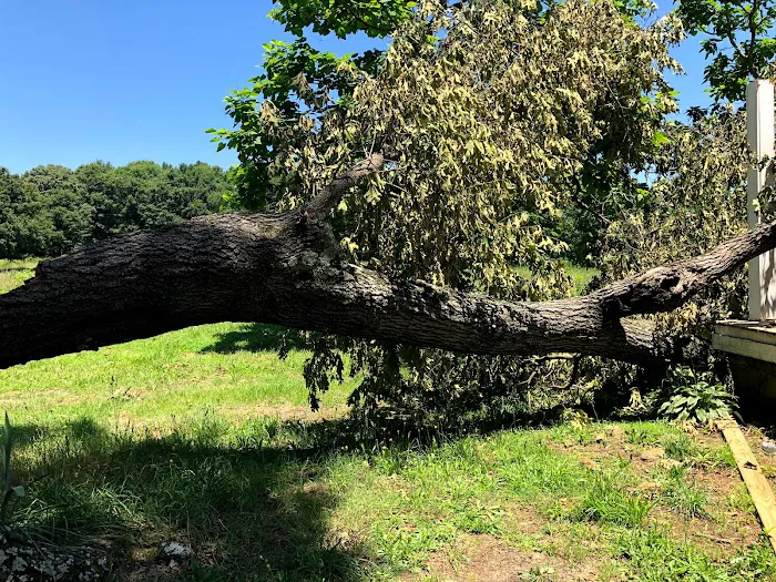 Affordable Roofing & Construction, Inc. Picture 8