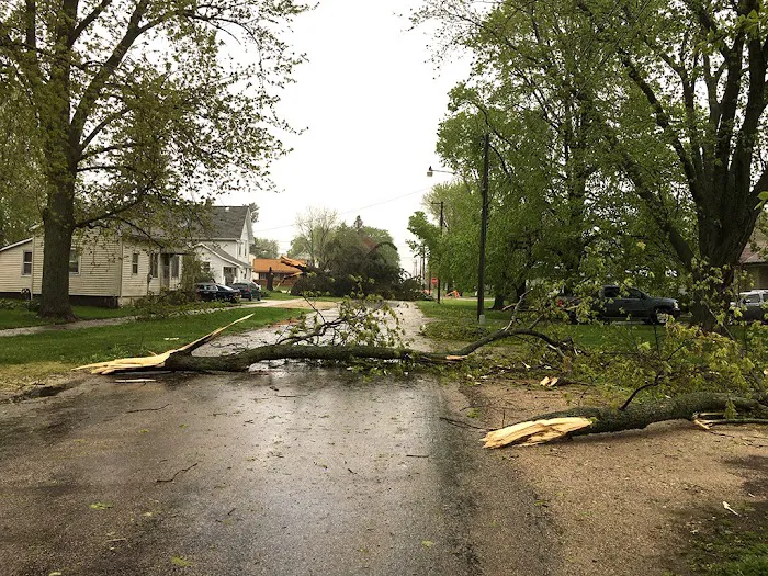 Canopy Roofing Upstate Picture 8