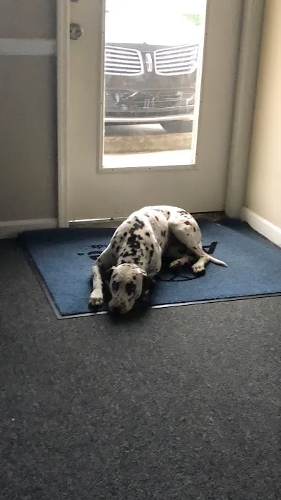 Affordable Roofing & Construction , Inc. Picture 1