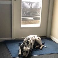 Affordable Roofing & Construction , Inc. ico