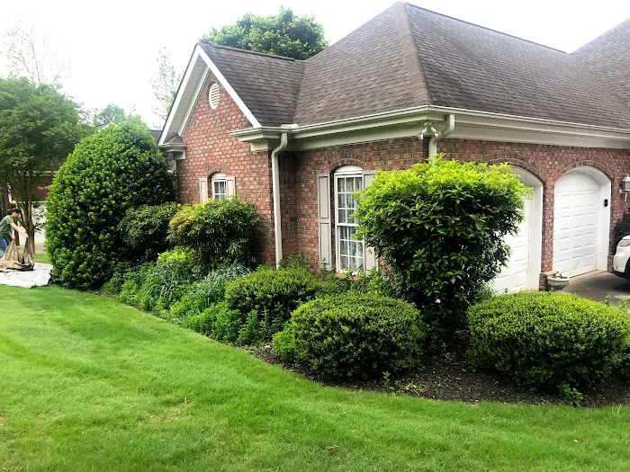 Southern Hue Services Picture 8