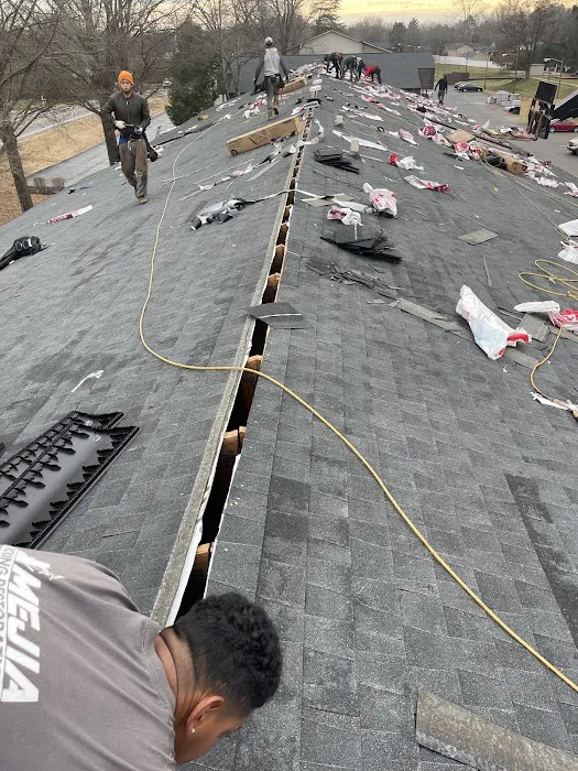 Mejia Roofing & Home Repair Picture 1