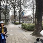 Exterior Specialists