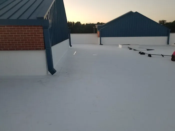 Palmetto Roofers Picture 1