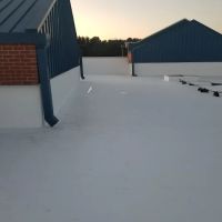 Palmetto Roofers ico