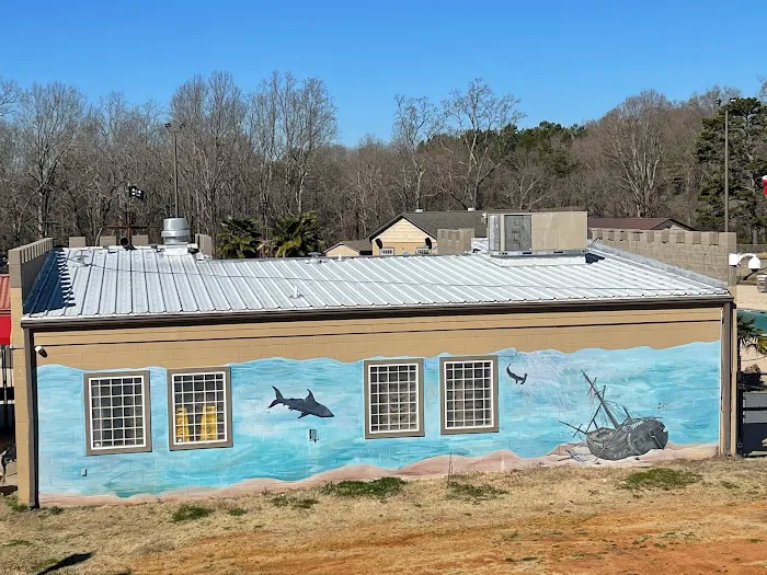 Palmetto Roofers Picture 10