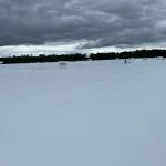 Palmetto State Roofing & Sheet Metal