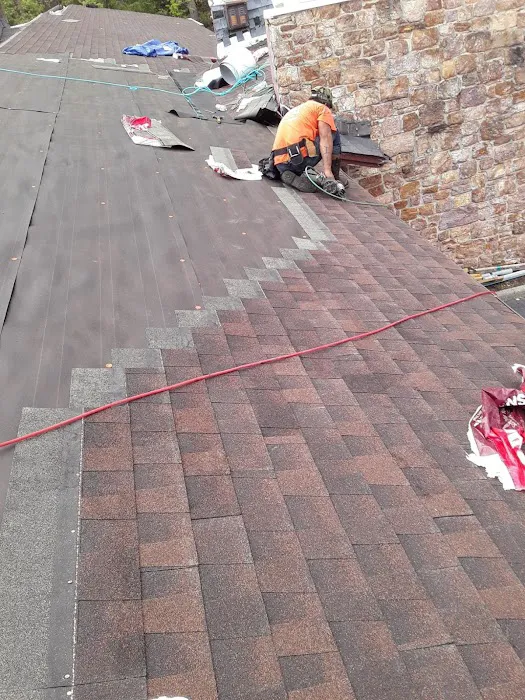 Gerardopabloroofing Picture 2