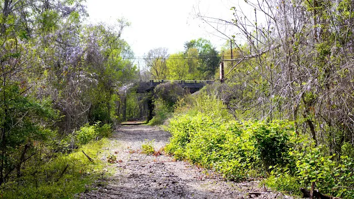 B & F Roofing Co Inc Picture 5