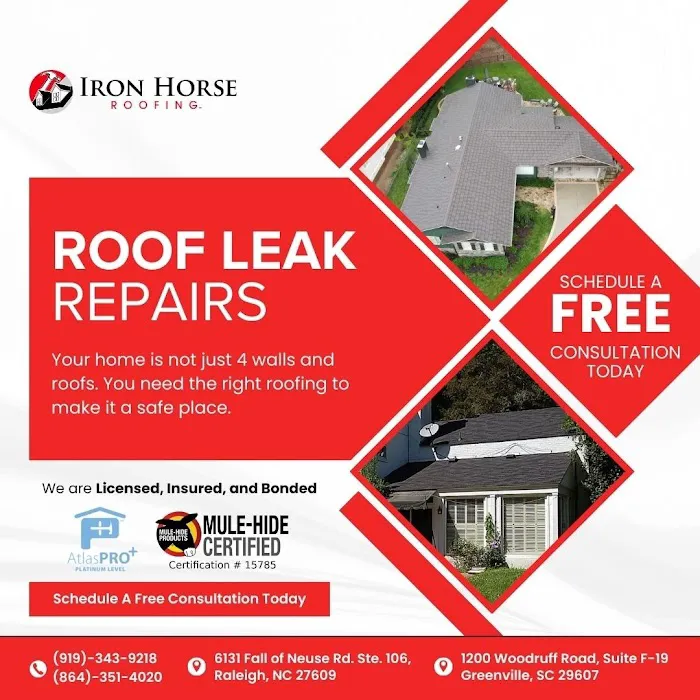 Iron Horse Roofing Picture 1