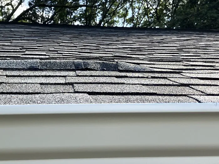 Home Genius Exteriors Picture 7