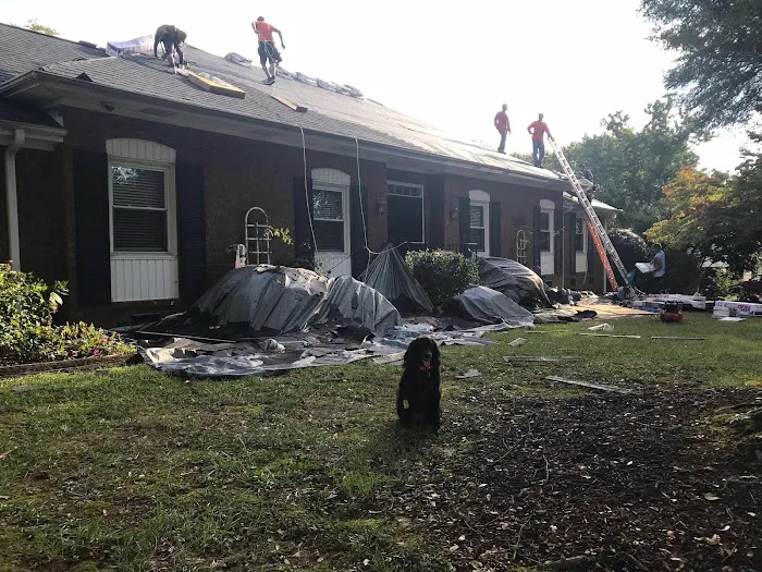 Rhino Roofing And Restoration Picture 10