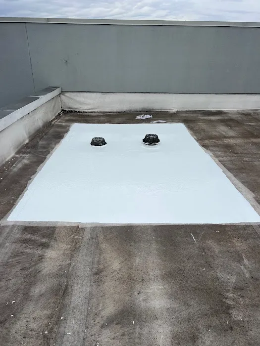 High Caliber Roofs Picture 8