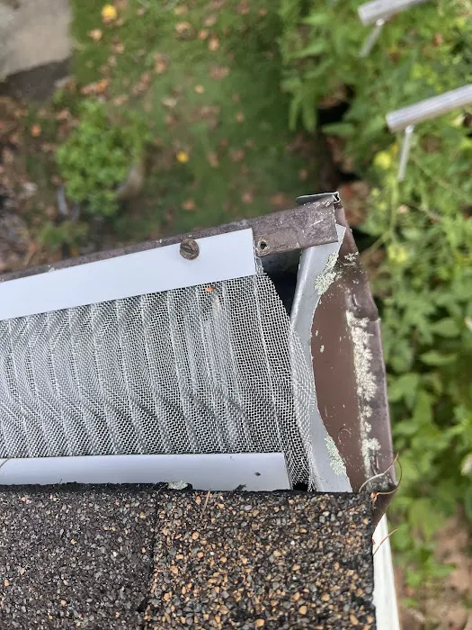 Gutter Guards America Picture 10
