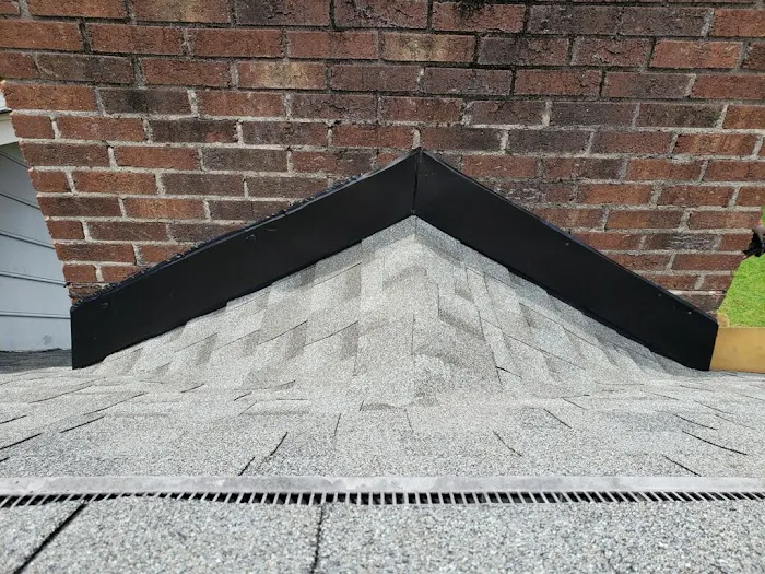 Hugo Roofing Picture 7