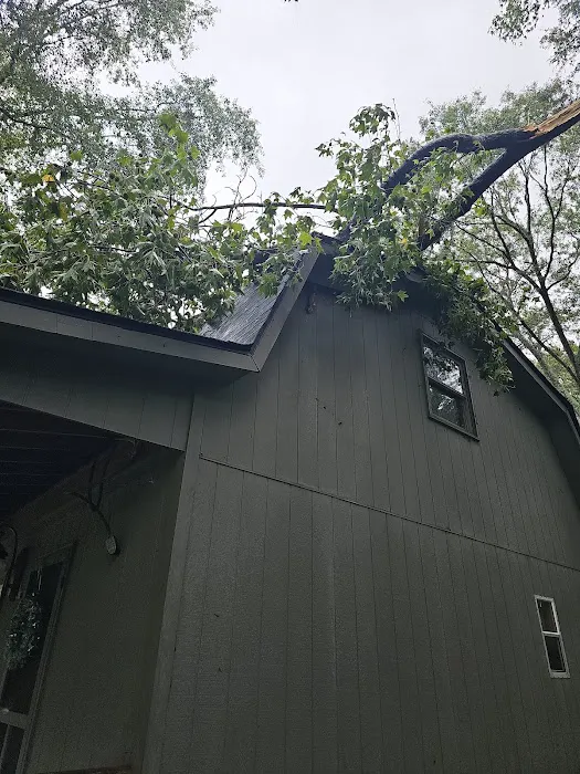 Hugo Roofing Picture 2