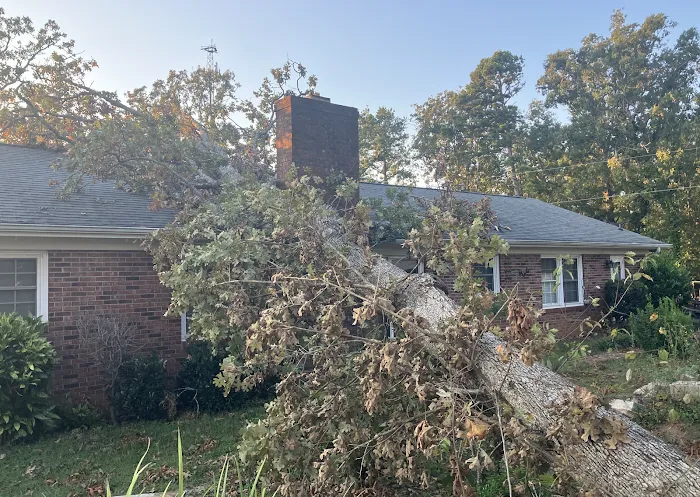 Hugo Roofing Picture 9