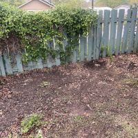 W&S RENOVATIONS LLC - ROOFING SERVICE ico