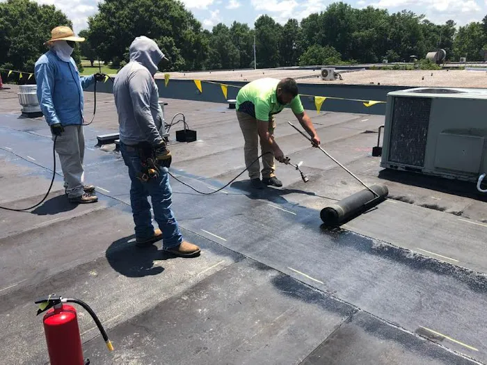 Roof Options Southeast Picture 3