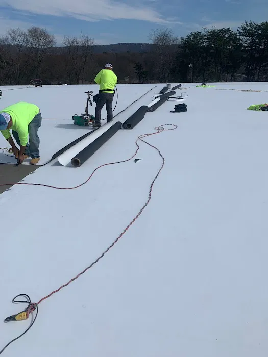 Palmetto Roofers Picture 3