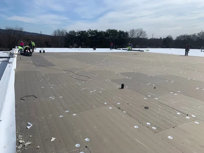 Palmetto Roofers Picture 7