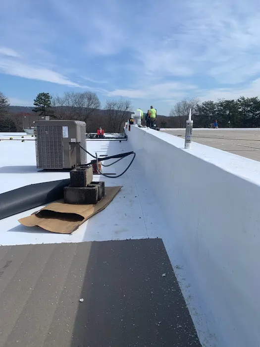 Palmetto Roofers Picture 8