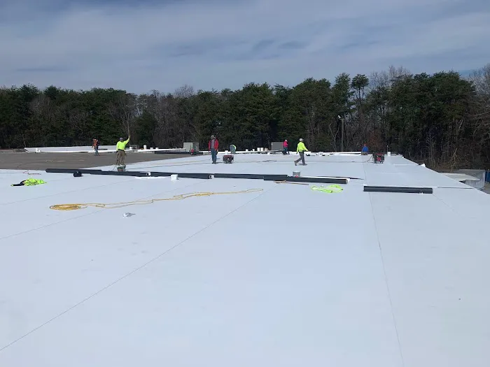 Palmetto Roofers Picture 6