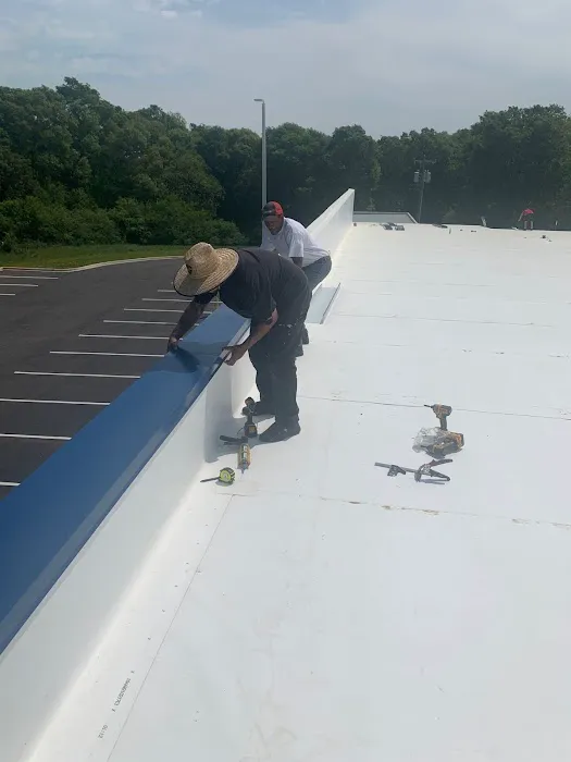 Palmetto Roofers Picture 4