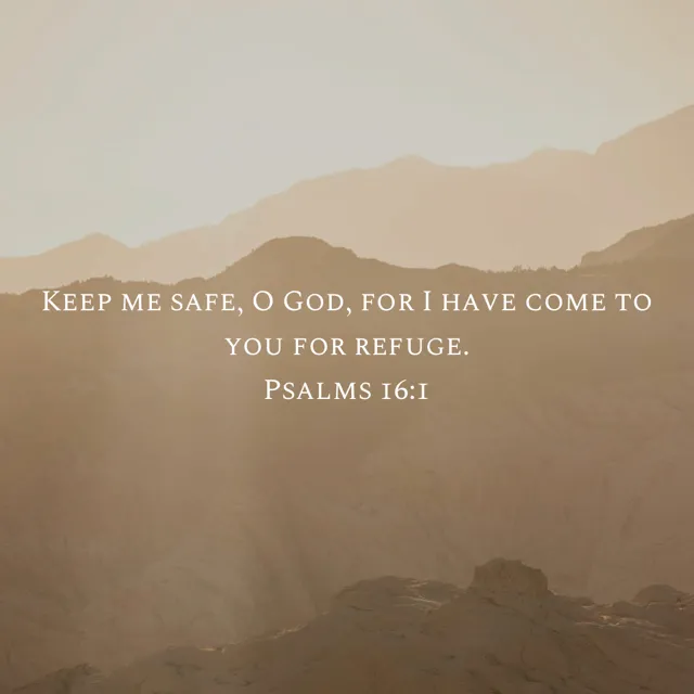 Refuge Roofing SC Picture 6