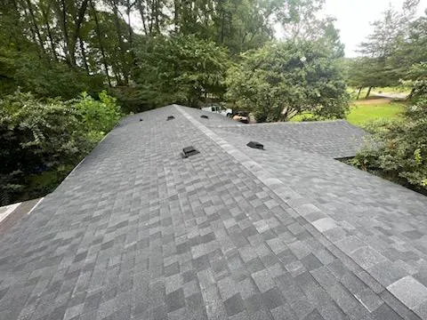Roof ResQ Picture 8