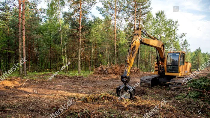 Crest Roofing & Construction Picture 8