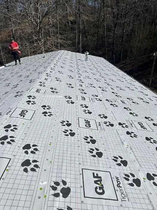 Carolina Roofing Siding Painting Picture 8