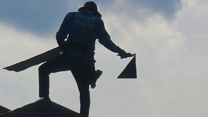 Carolina Roofing Siding Painting Picture 3