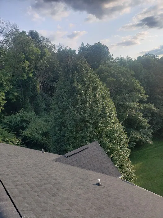 Aguilar Roofing Services LLC Picture 5