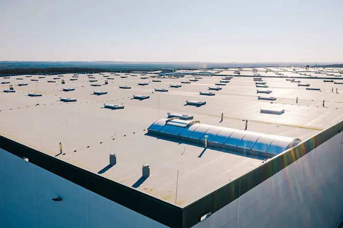 Palmetto Roofers Picture 1