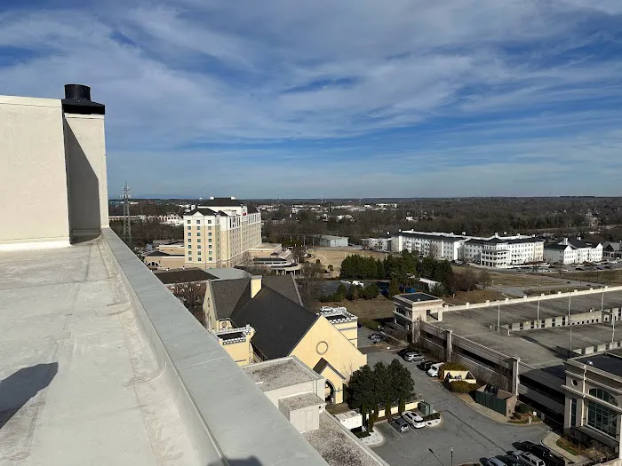 Palmetto Roofers Picture 6