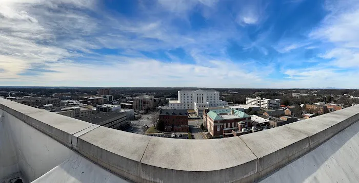 Palmetto Roofers Picture 5