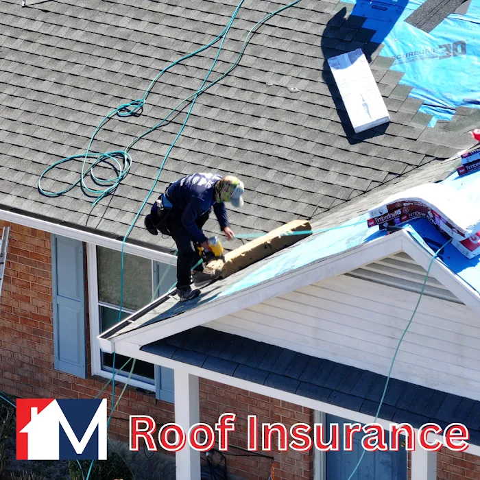 Modern Roofing Picture 9